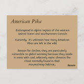 アメリカンピカ ポストカード (裏面)