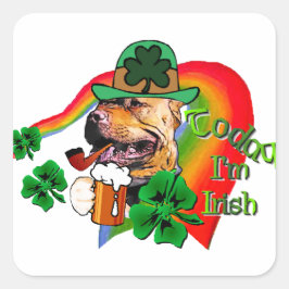 アメリカンピットブルテリアSt patricks スクエアシール