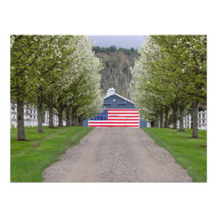 アメリカンファーム フォトプリント