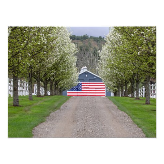 アメリカンファーム フォトプリント            (正面)