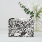 「アメリカンフォレストゲーム」のはがき ポストカード (スタンド正面)