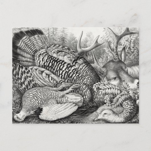 「アメリカンフォレストゲーム」のはがき ポストカード (正面)