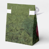 アメリカンフットボールのテント フェイバーボックス (裏面サイド)