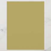 アメリカンフットボール広告キャンプズフライヤー チラシ (裏面)