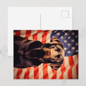 アメリカンフラッグチョコレートラブラドール ポストカード (正面/裏面)