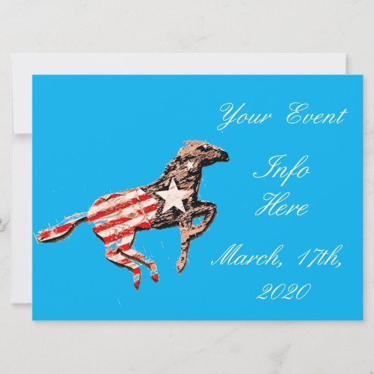 アメリカンフラッグランニングホースThunder_Cove (正面)