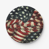 アメリカンフラッグ-カモフラージュバイシャーリーテイラー ペーパープレート (正面)