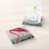 アメリカンフラミンゴバードオブアメリカオードボンプリント ガラスコースター (アングル)