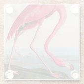 アメリカンフラミンゴバードオブアメリカオードボンプリント ガラスコースター (裏面)