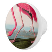 アメリカンフラミンゴバードオブアメリカオードボンプリント セラミックノブ (右)