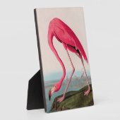 アメリカンフラミンゴバードオブアメリカオードボンプリント フォトプラーク (側面)