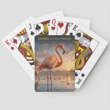 アメリカンフラミンゴ 海岸のラグーン 動物 ポーカー