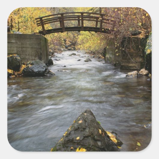 アメリカンフランニングォークキャニオンを通る川の渓谷 スクエアシール (正面)