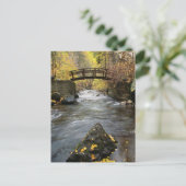 アメリカンフランニングォークキャニオンを通る川の渓谷 ポストカード (スタンド正面)