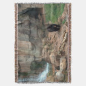 アメリカンブラックベアブランケット スローブランケット (正面縦)