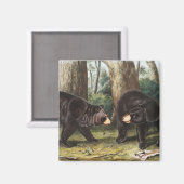 アメリカンブラックベアーウルソスアメリカーナスイラストレーション マグネット (正面/裏面)