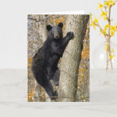 アメリカンブラックベア登山アツリー カード (黄色い花)