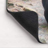 アメリカンブラックベア マウスパッド (コーナー)