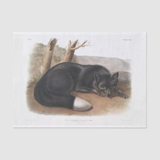 アメリカンブラック/シルバーキツネデコパージュ 薄葉紙 (正面)