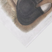 アメリカンブラック/シルバーキツネデコパージュ 薄葉紙 (詳細)