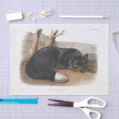 アメリカンブラック/シルバーキツネデコパージュ 薄葉紙 (クラフト)