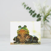 アメリカンブルカエルポーズ付きポストカード ポストカード (スタンド正面)