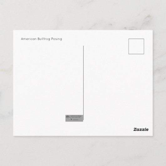 アメリカンブルカエルポーズ付きポストカード ポストカード (裏面)