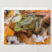 アメリカンブルガエル秋磁石 (正面/裏面)