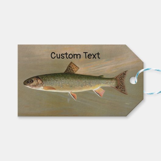 アメリカンブルックマス魚ヴィンテージイラストレーション ギフトタグ (正面(横))