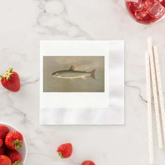 アメリカンブルックマス魚ヴィンテージイラストレーション 縁ありカクテルナプキン (インサイチュ)