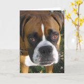 アメリカンブルドッグ誕生日カード カード (黄色い花)