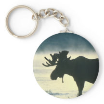 アメリカンブルムース