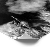 アメリカンプレインズバイソン ポスター (角)