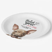 アメリカンヘアレステリア ペーパープレート (アングル)