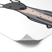 アメリカンヘアレステリア ポスター (角)