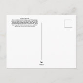 アメリカンホワイトイビス ポストカード (裏面)