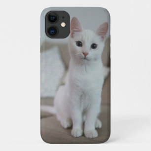 アメリカンホワイトショートヘア iPhone 11 ケース