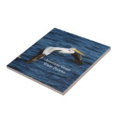 アメリカンホワイトペリカンタイル タイル (側面)