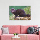 アメリカンミンクキャンバスプリント キャンバスプリント (インサイチュ (リビング))