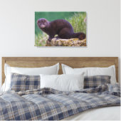 アメリカンミンクキャンバスプリント キャンバスプリント (インサイチュ (寝室))