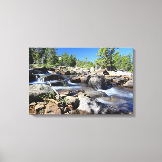 アメリカンリバーのシルバーフォーク、キャンバス キャンバスプリント (正面)