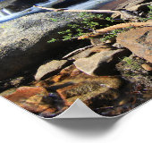 アメリカンリバーのシルバーフォーク ポスター (角)