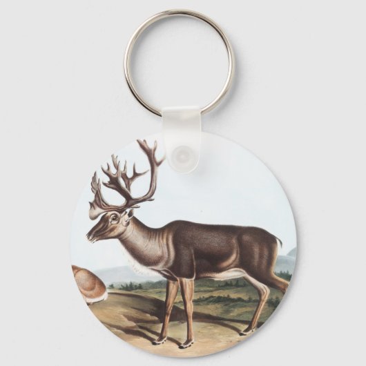 アメリカンレジンディアーCaribou (Tarandus furcifer) キーホルダー (正面)