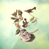 アメリカンレッドスタートオードボンバードとワスプネスト ウィンドウサイン (シート3)