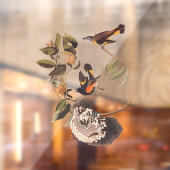 アメリカンレッドスタートオードボンバードとワスプネスト ウィンドウサイン (シート2)