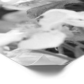 アメリカンレディーバタフライの花のポスター ポスター (角)