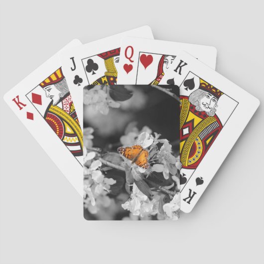 アメリカンレディーバタフライオンブロッサムトランプ トランプ (裏面)