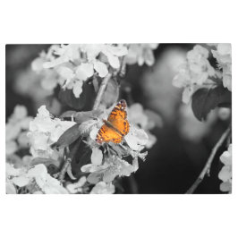 アメリカンレディーバタフライオンブロッサムメタルウォールアート メタルプリント