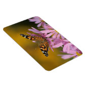 アメリカンレディーバタフライスタンパリークララカーティス4x6 マグネット (右側)