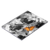 アメリカンレディーバタフライスパイラルノート ノートブック (左側)